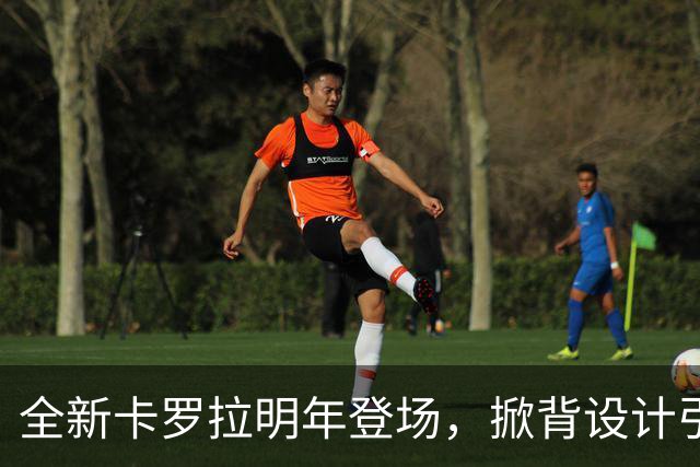 全新卡罗拉明年登场，掀背设计引领未来趋势