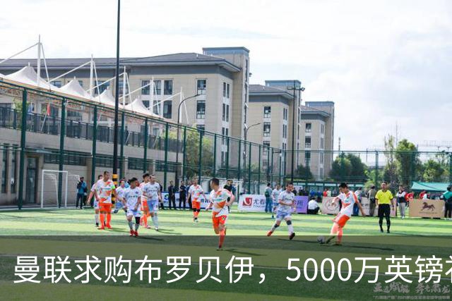 曼联求购布罗贝伊，5000万英镑补强锋线危机！